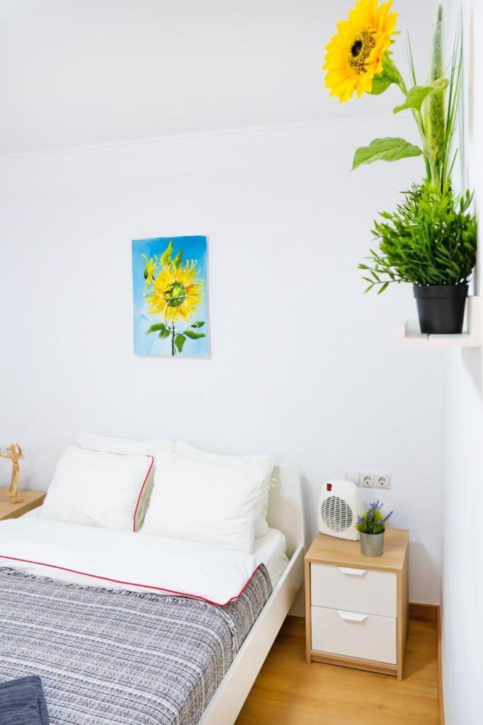 Apartament Sollana 18 València